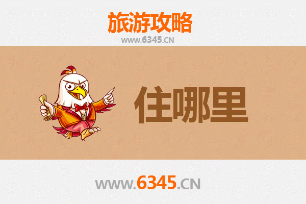 伊春铁力民宿全攻略：森林深处的诗意栖居